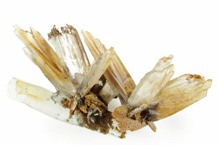 Sharp Bladed Blue Barite Cluster with Limonite - Morocco #365634